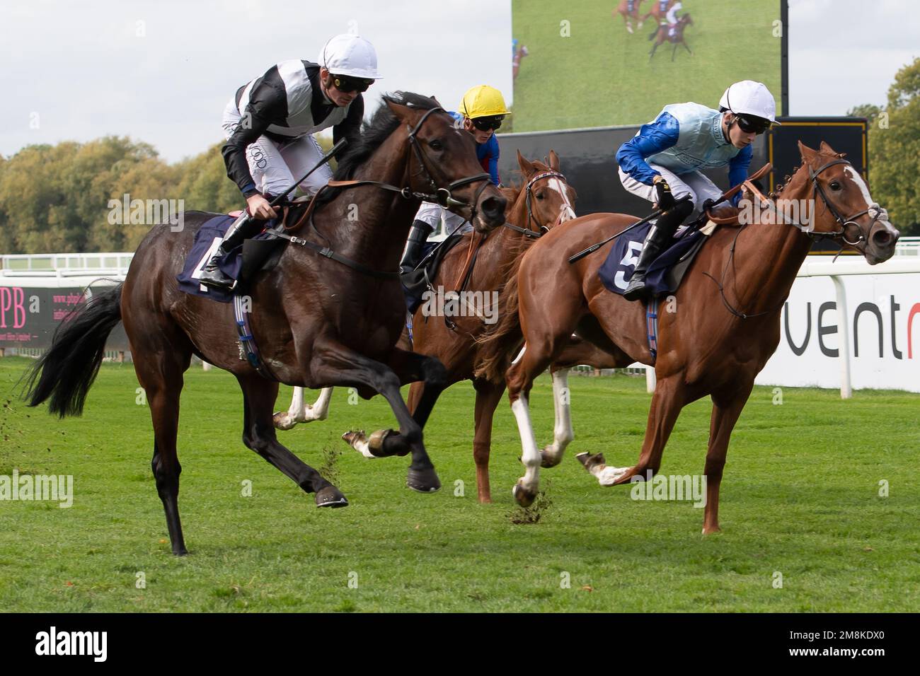 Windsor, Berkshire, UK. 3rd October, 2022. A very close finish as horse Enochdhu (No 4) ridden by jockey Rob Hornby beat horse Sydney Mews (No 5) ridden by jockey Harry Davies to win the Armstrong Fine Art Nursery Handicap Stakes at Royal Windsor Racecourse. at Royal Windsor Racecourse. Owner Julia Scott. Trainer Jonathan Portman, Upper Lambourn. Credit: Maureen McLean/Alamy Stock Photo