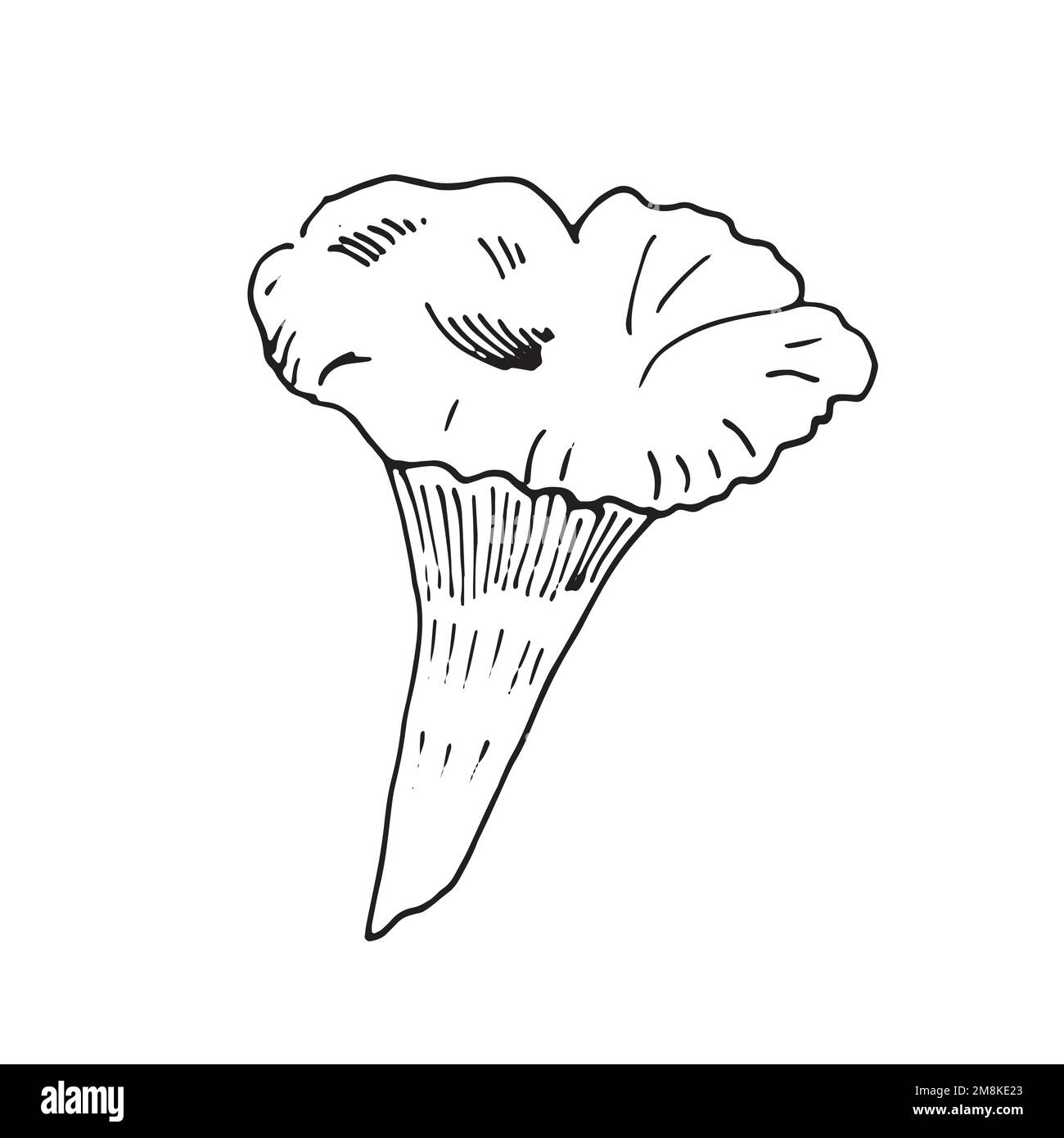 Fall clip art black and white stock photos images alamy