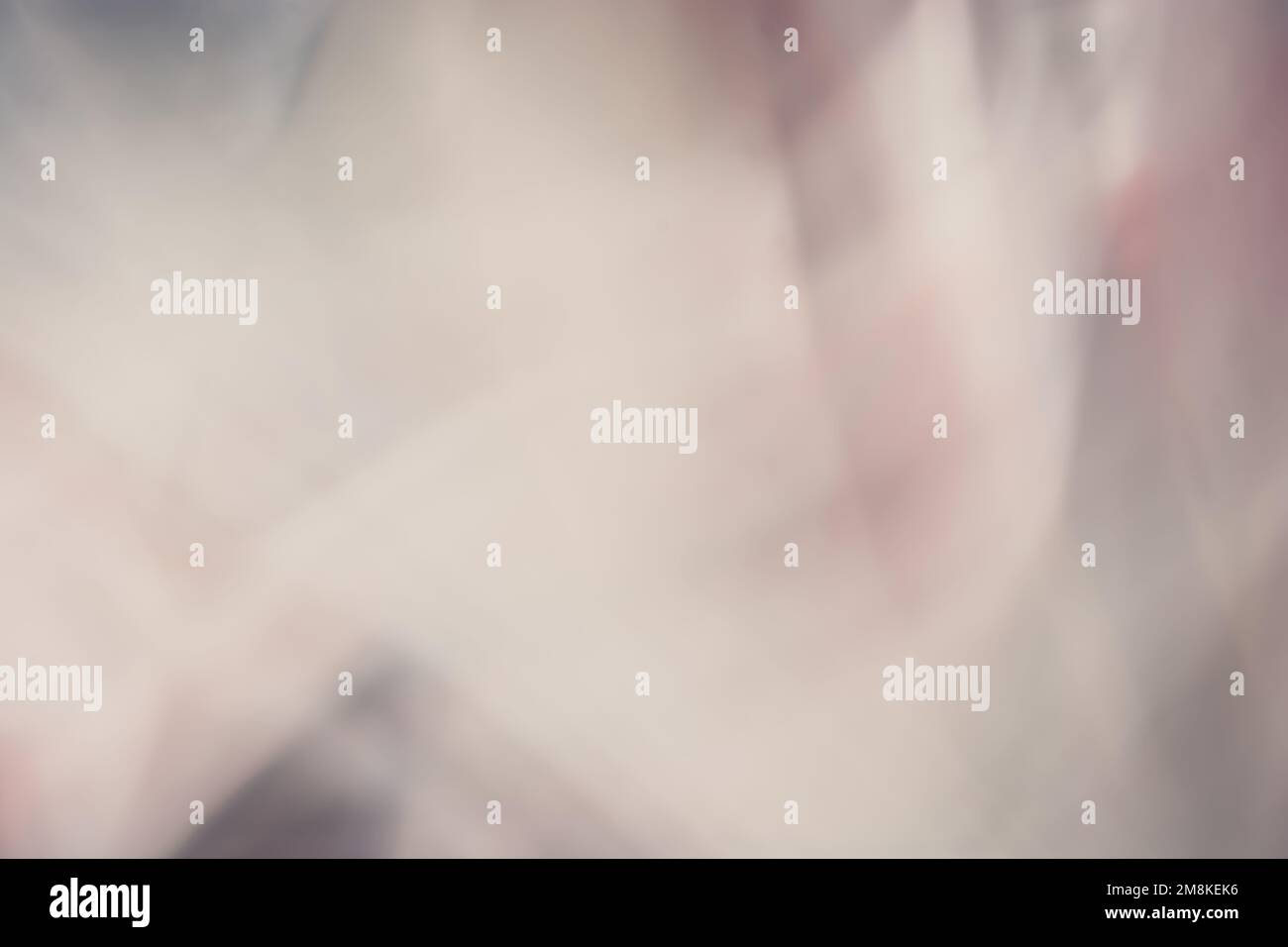 Pink with gray abstract banner background, with soft blur and gradient. Backdrop Stock Photo