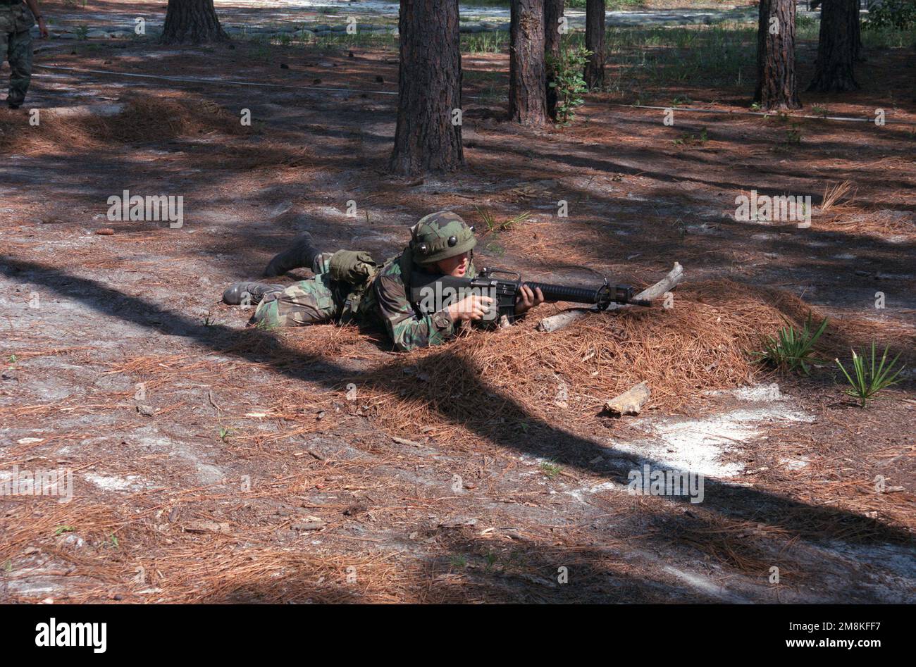 A soldier in the prone position attempts to qualify with the M16 rifle during Expert Infantry Badge (EIB) training. Base: Fort Stewart State: Georgia (GA) Country: United States Of America (USA) Stock Photo