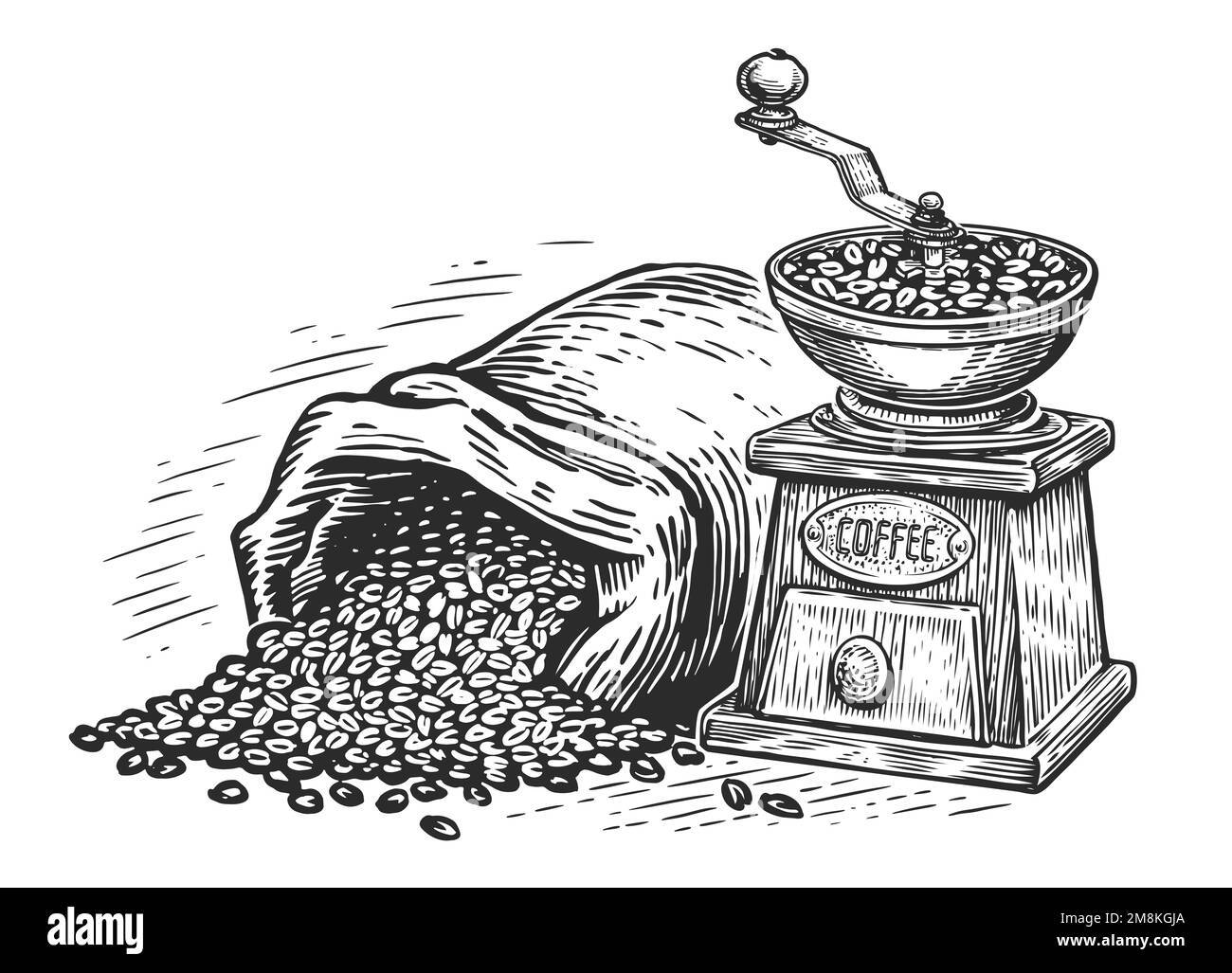 Coffee grinder and coffee beans in vintage engraving style. Drink concept. Hand drawn sketch illustration Stock Photo