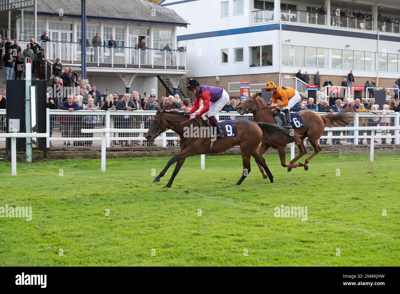 Kings racing colours hi-res stock photography and images - Alamy