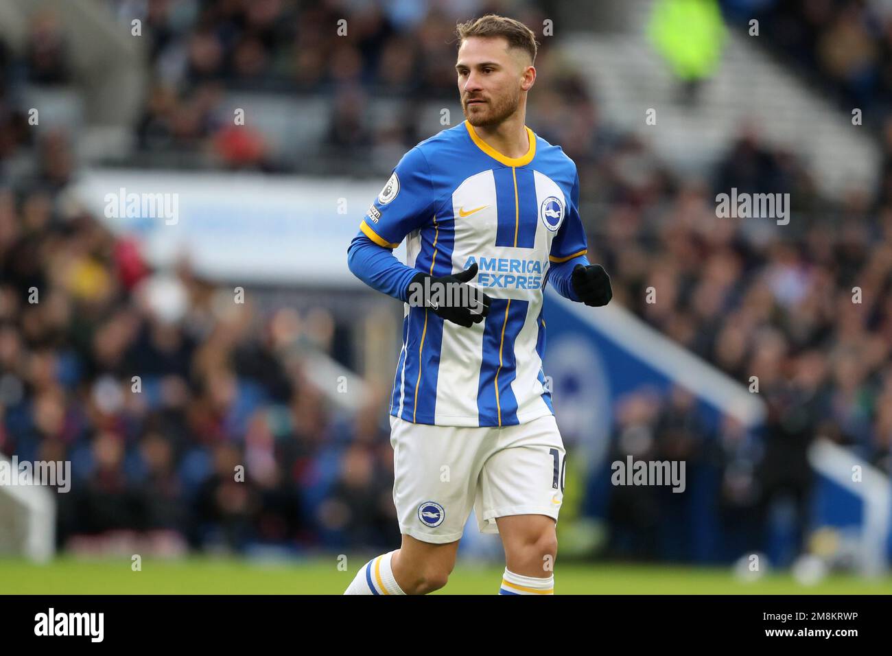 Alexis Mac Allister in action for Brighton & Hove Albion at the AMEX Stadium Stock Photo