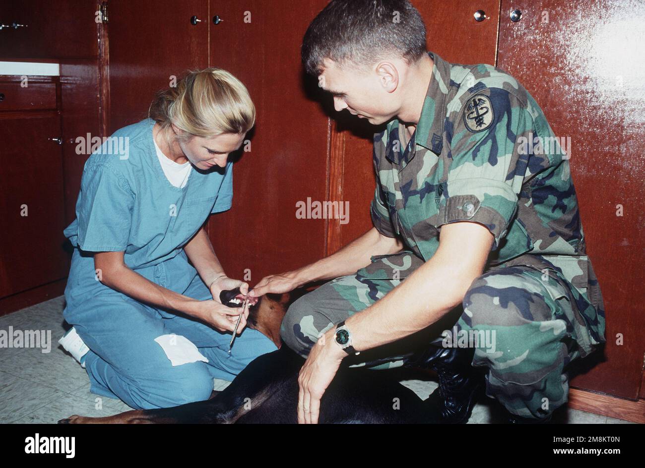 Dental Technician Second Class (DT2) C.J. Phillips is assisted by SGT