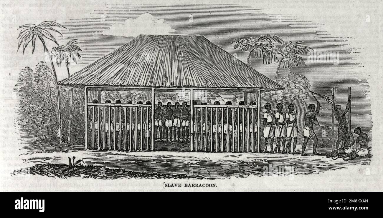 Barracoon with thatched roof with captured slaves inside, guards outside and several people being whipped. Stock Photo