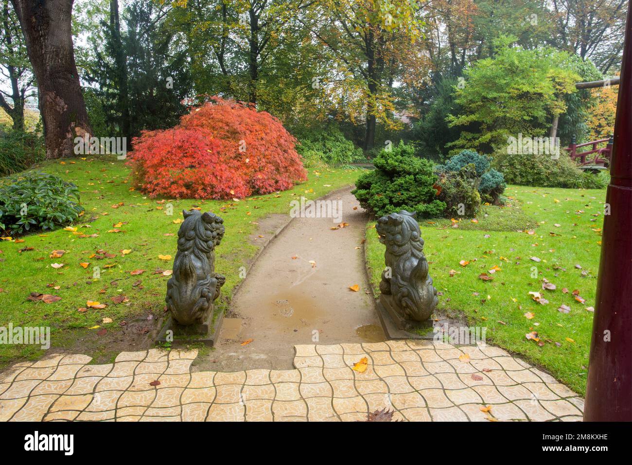 Amazing foggy landscape in a Japanese garden with small lion statues next to Torii Gate in Leverkusen and green gras in late October. Red leaves of sm Stock Photo