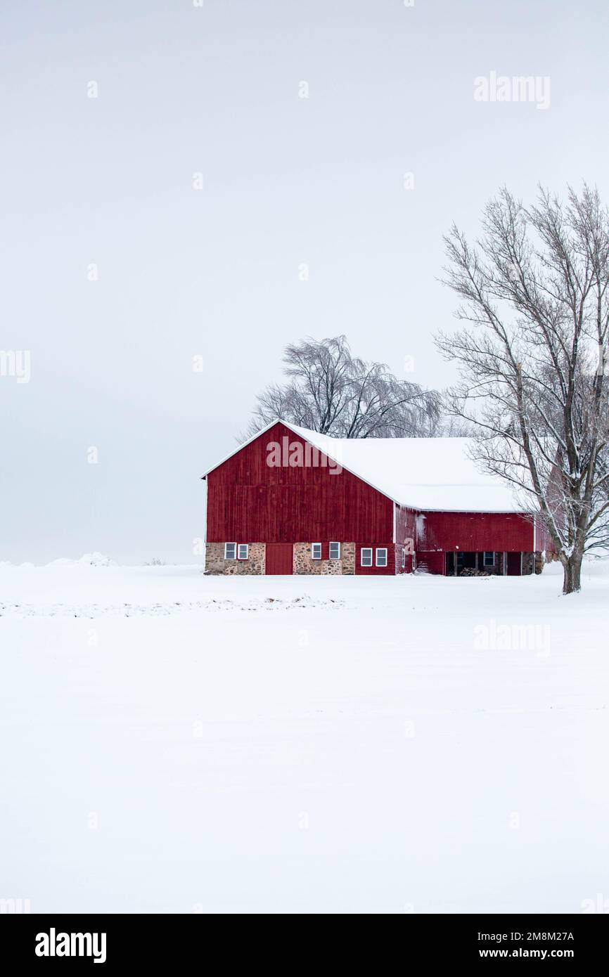 Snow covered trees with old barn hi-res stock photography and images ...