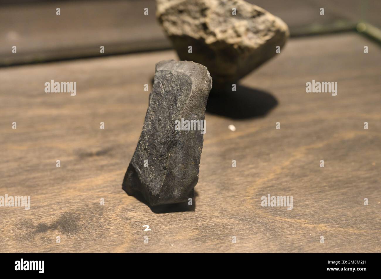 Oldowan tool:Oldowan tool: flake of basalt (cast). Found in Dmanisi, Georgia. On display in the Natural Sciences Museum in Brussels, Belgium. Stock Photo