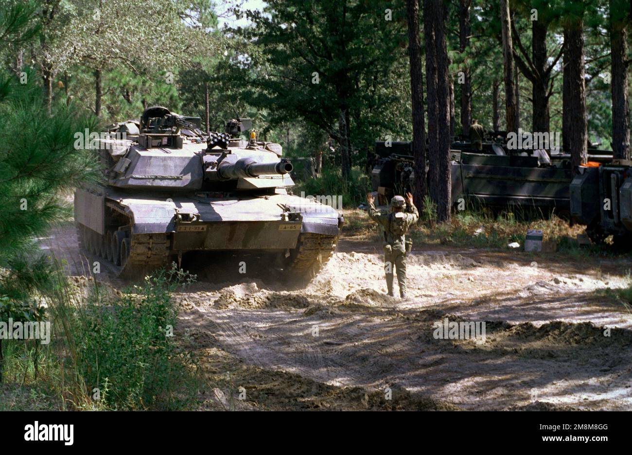 A M1 Abrams Tank from the 2nd Infantry Division, Fort Lewis, Washington, on maneuvers at the Joint Readiness Training Center. Base: Fort Polk State: Louisiana (LA) Country: United States Of America (USA) Stock Photo