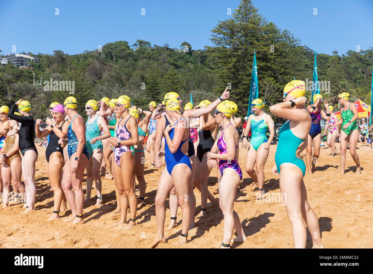 Bilgola Beach Ocean swim, women ladies 500m race, women line up for the start of the race, Blackmores Billy ocean swim race,Sydney,NSW,Australia 2023 Stock Photo