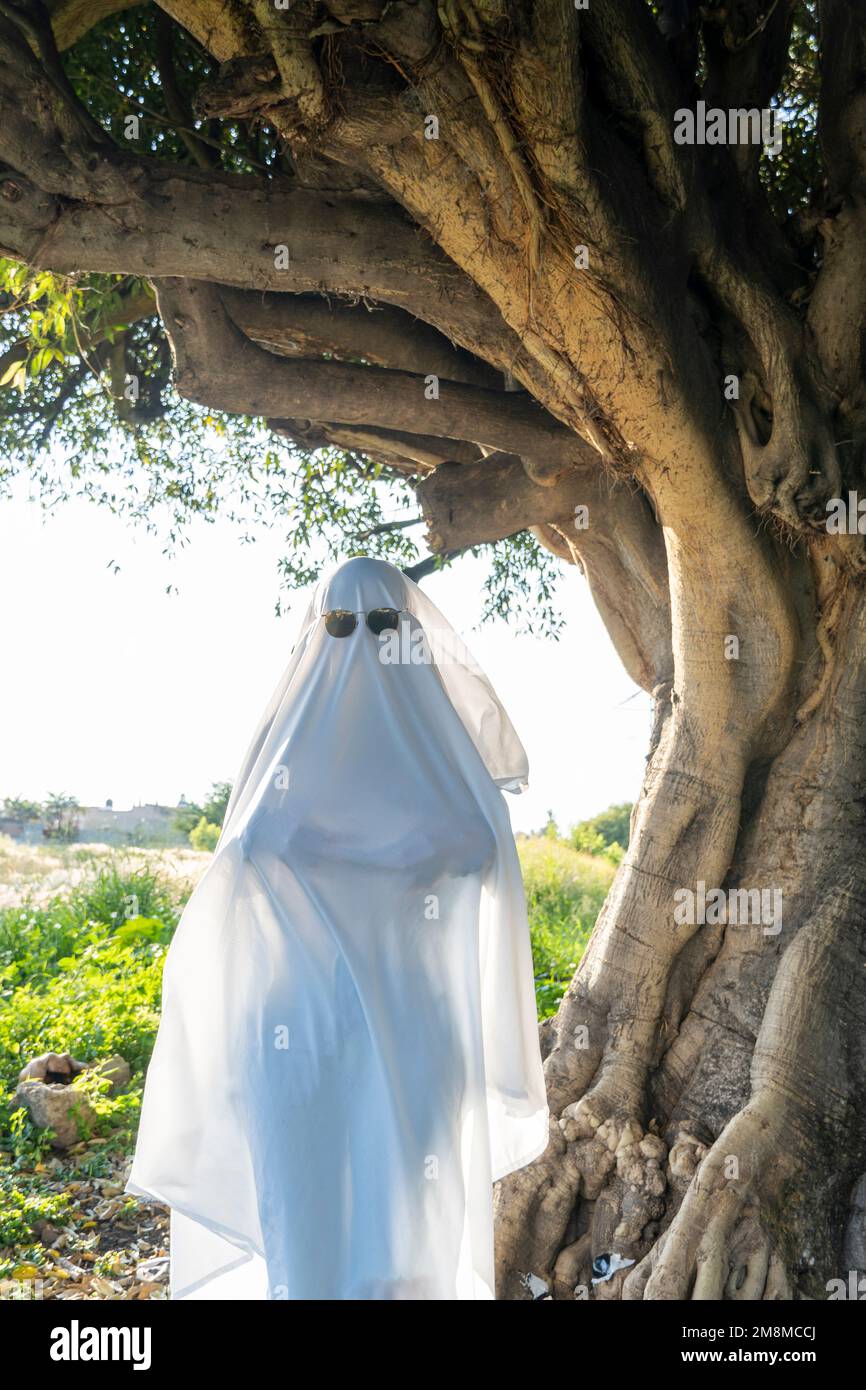 A vertical shot of a person dressed as a ghost standing next to the tree on the day of dead in Mexico Stock Photo