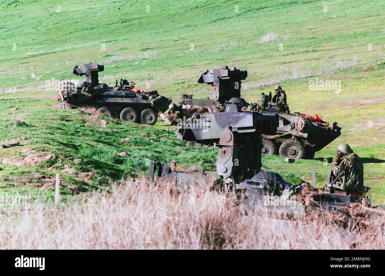 Light Armored Vechile(LAV) from 1ST Light Armored Reconaissance Company