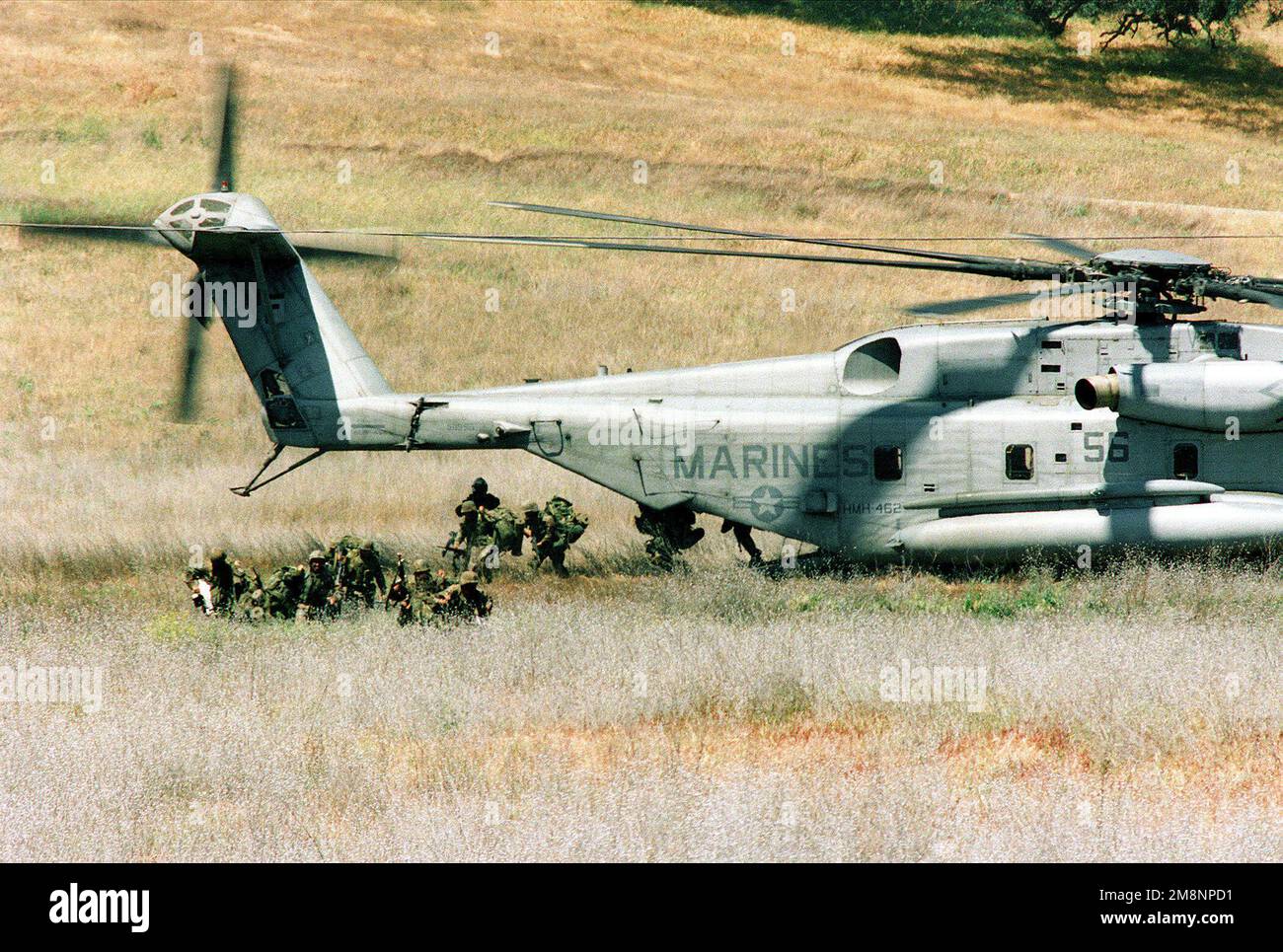 Operation Stallion Second battalion fifth marines hi-res stock photography and images - Alamy
