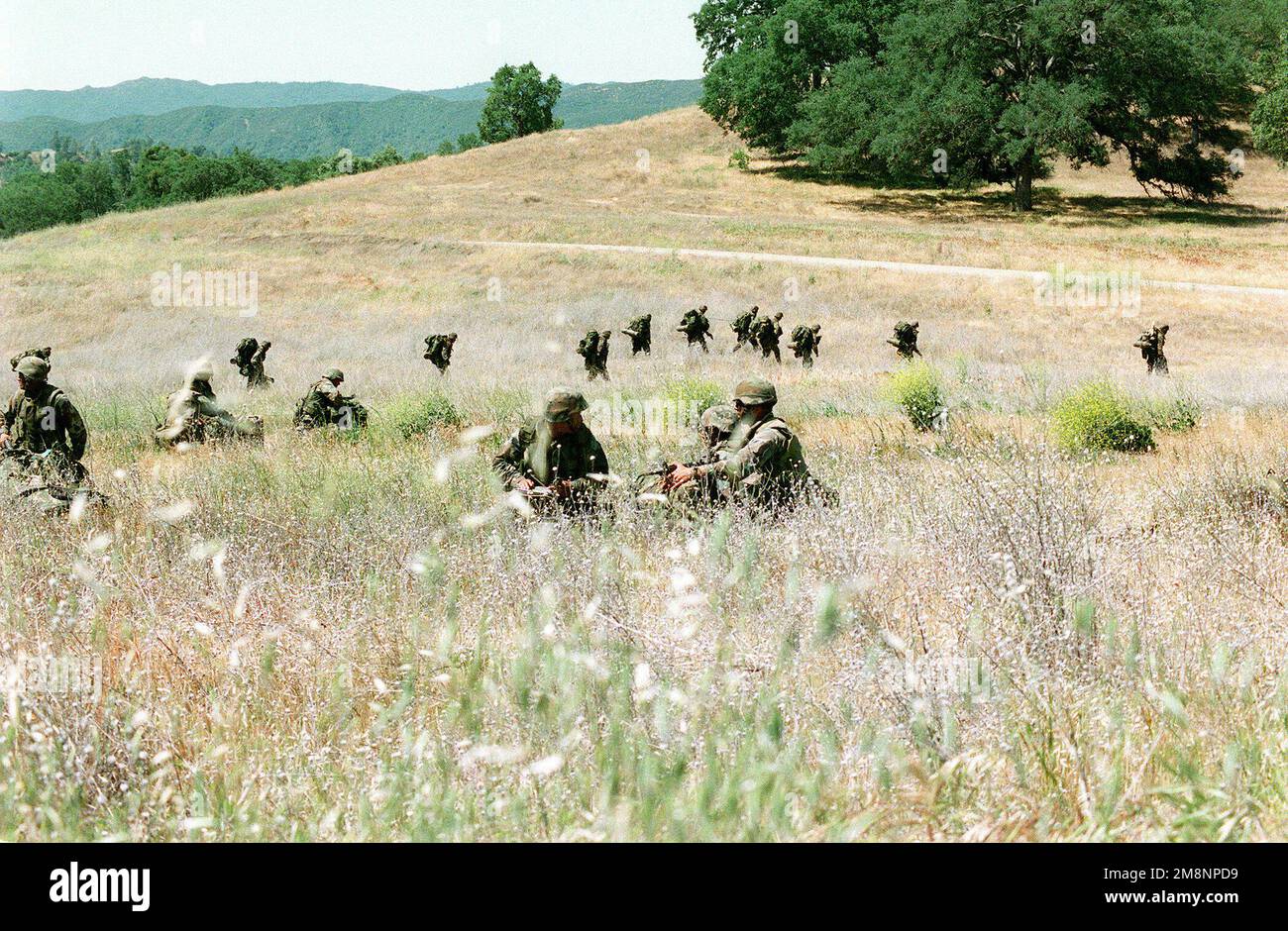 Dm sd 00 03018 hires stock photography and images Alamy