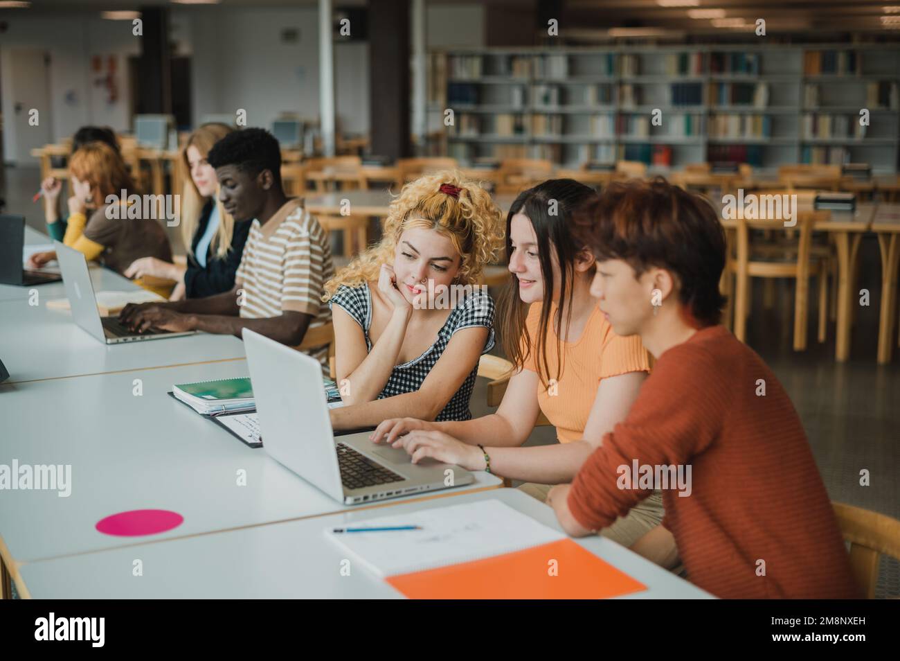 Multiracial young students using netbooks in library Stock Photo