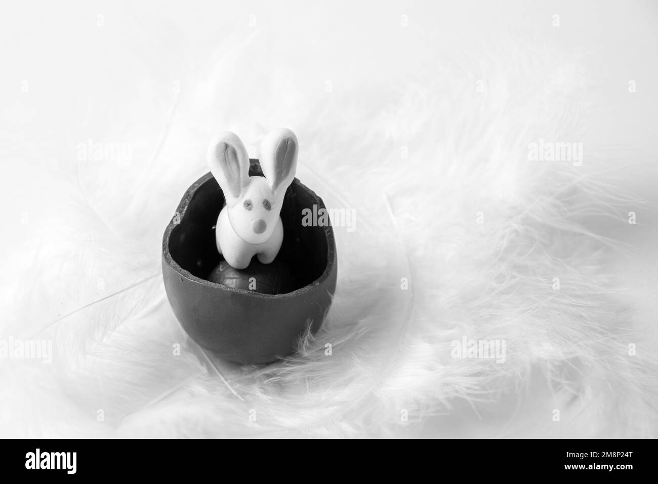 White Easter Bunny in a cracked chocolate egg in a white soft feather nest, black and white. Sweet Easter tradition. Spring holiday. Easter treat for Stock Photo