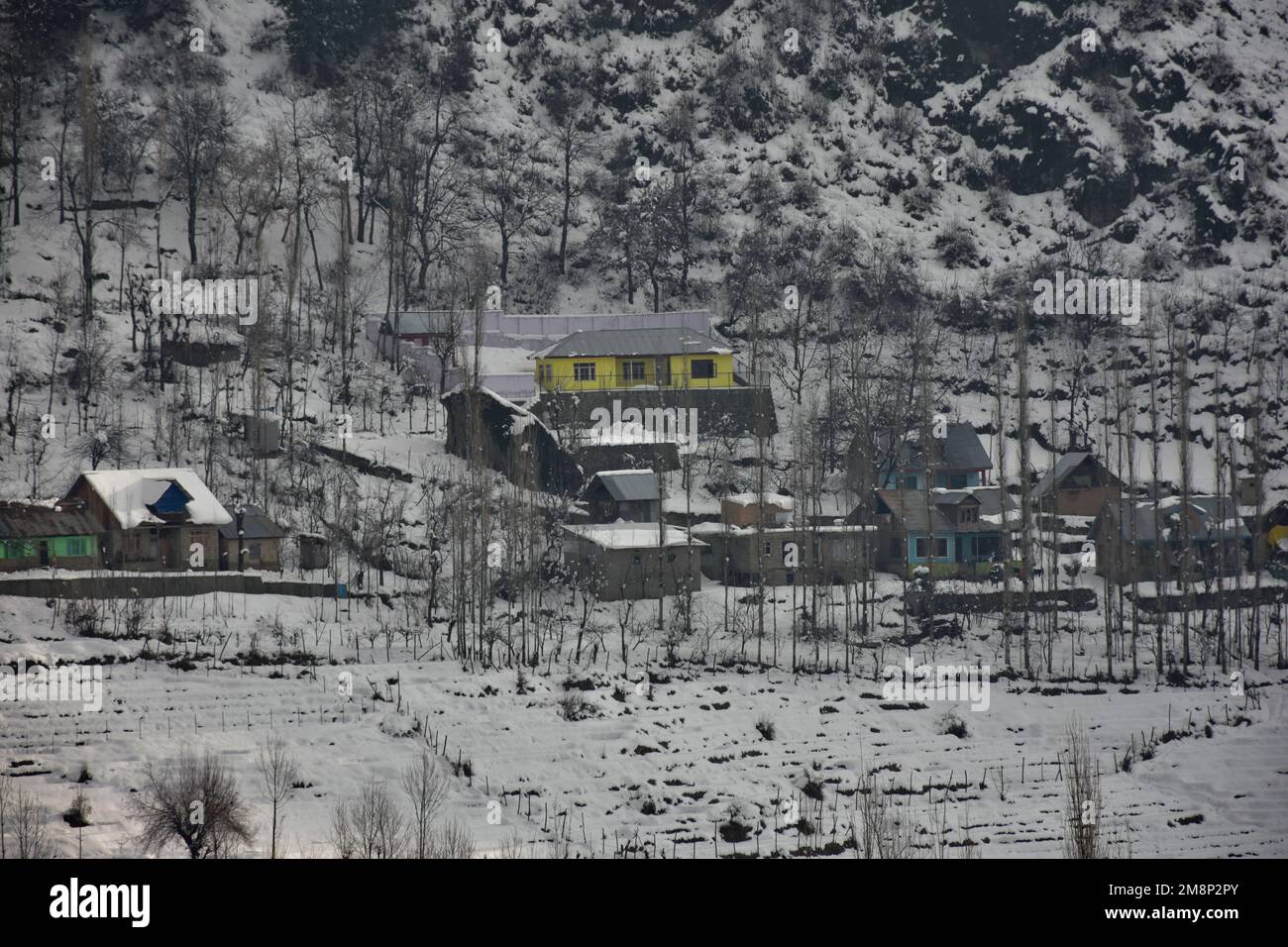 Srinagar, India. 14th Jan, 2023. A general view of snow covered houses and fields after fresh snowfall on the outskirts of Srinagar. Weather improved in Kashmir valley after days of moderate to heavy snowfall and rains. Meanwhile, Avalanches were reported on Saturday in Bandipora district and Sonamarg hill station which have been witnessing moderate to heavy snowfall over past few days. This is the second incident reported in the popular hill station in the last two days. Two labourers died on Thursday when an avalanche hit the work site of a construction company in Sonamarg. Credit: SOPA Imag Stock Photo