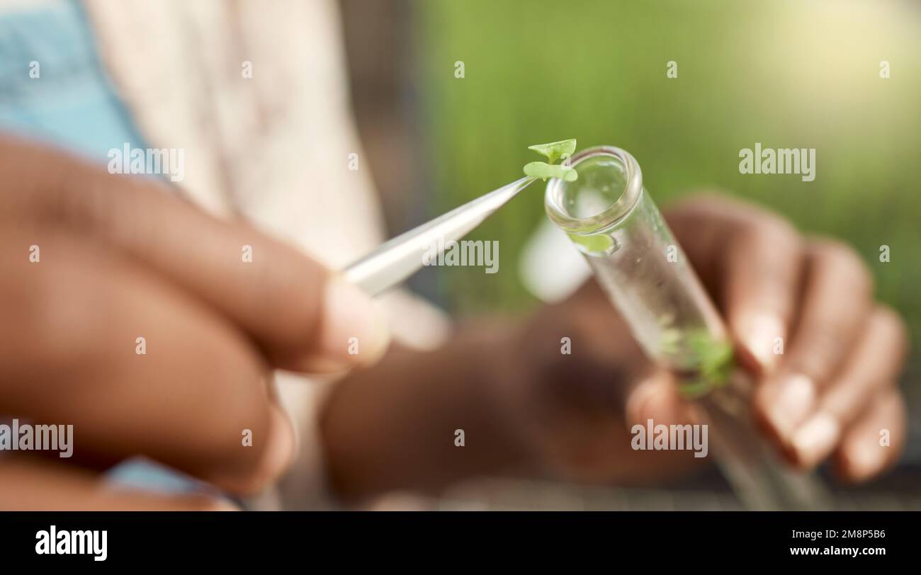 hand of botanist putting plant sample into test tube. Closeup of farmer
