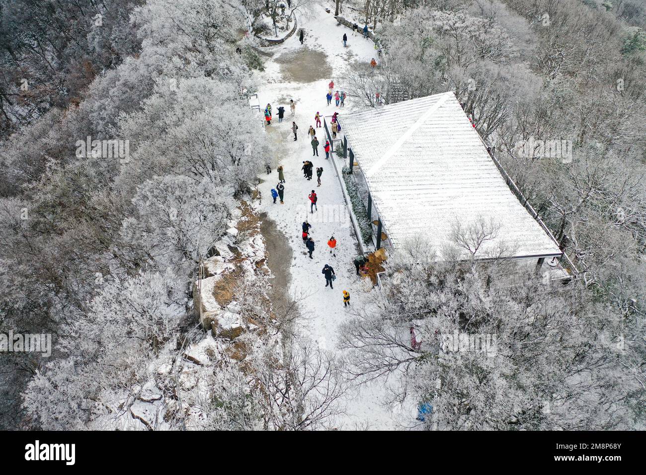 NANJING, CHINA JANUARY 15, 2023 Tourists enjoy the snow at Zijin Mountain in Nanjing, East