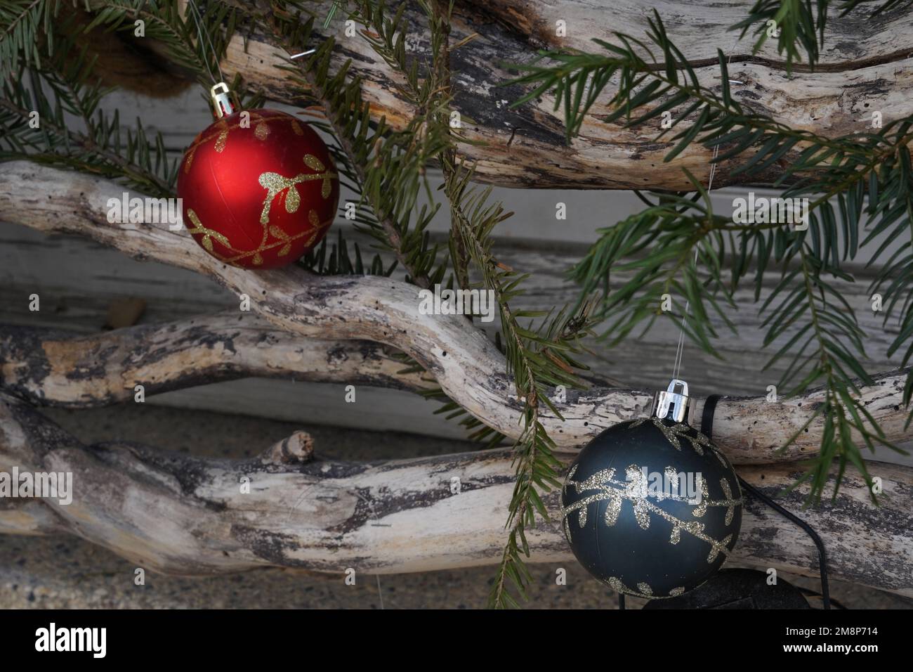 Red and blue colour Christmas balls with gold ornaments decorations are arranged on coniferous twigs as outdoor seasonal decoration. Stock Photo