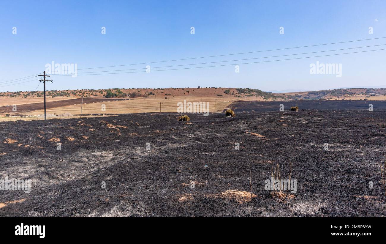 Fire burned farming fields landscape in rural countryside in the dry season Stock Photo