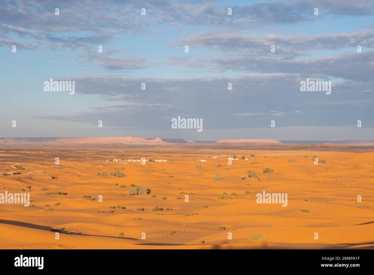 Beautiful sand dunes in the Sahara desert Stock Photo - Alamy