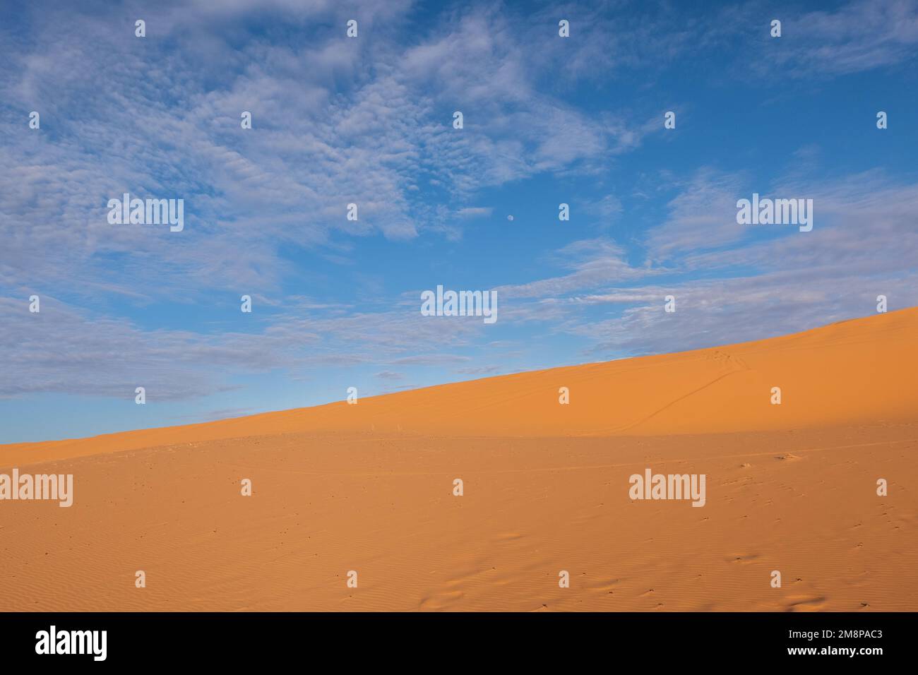 Beautiful sand dunes in the Sahara desert Stock Photo - Alamy