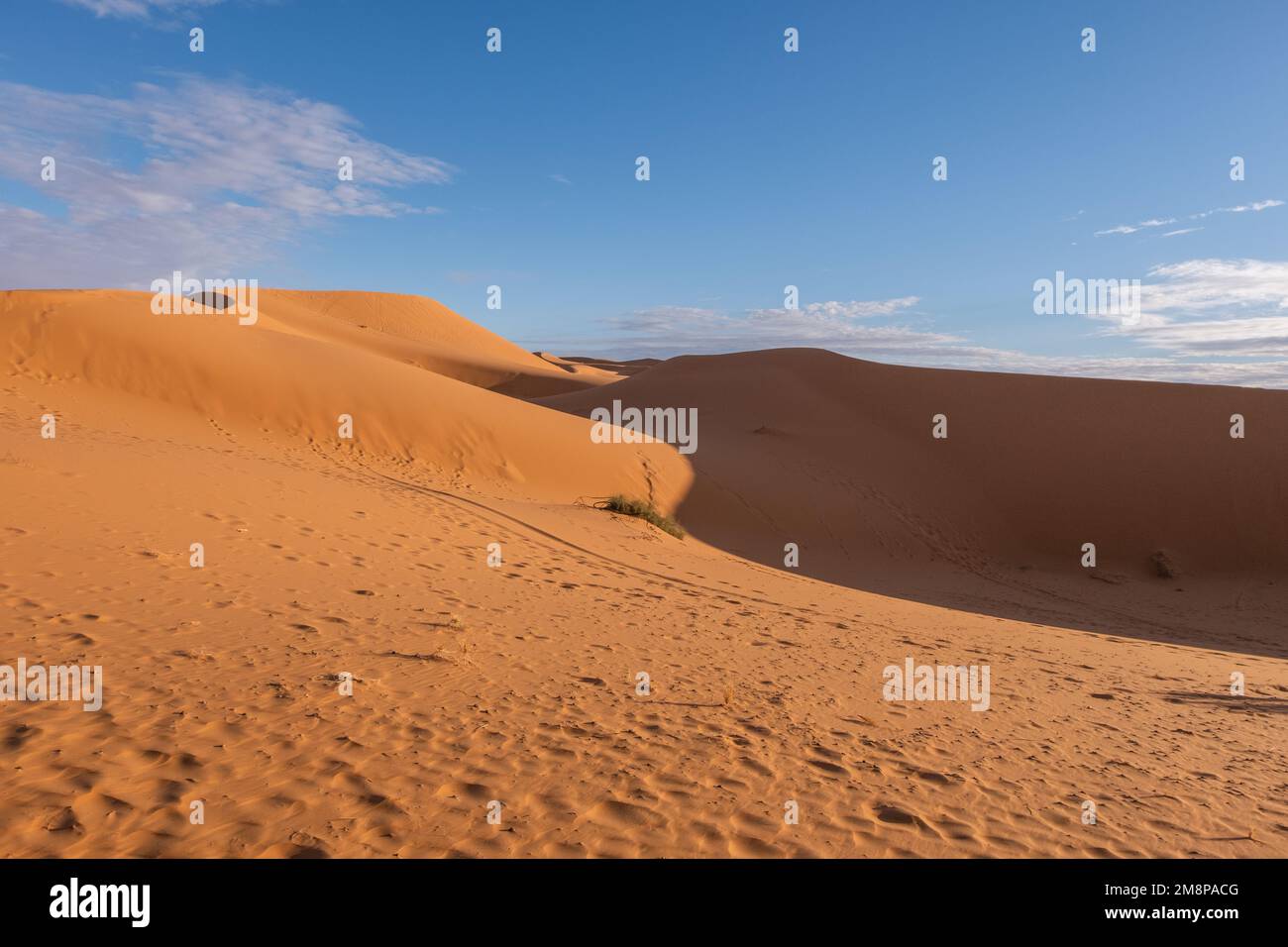 Beautiful sand dunes in the Sahara desert Stock Photo - Alamy