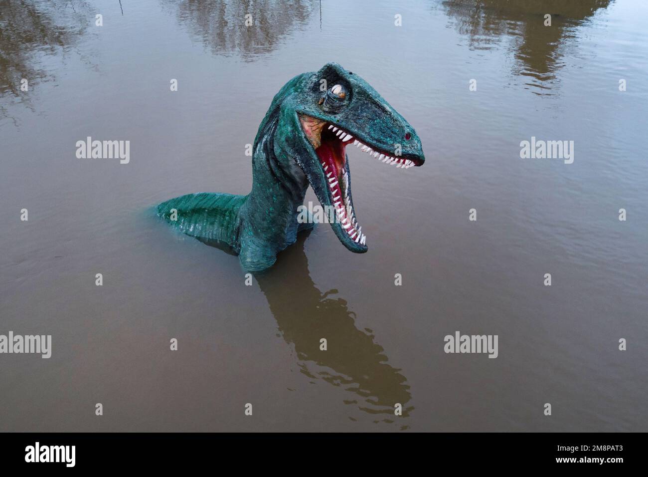 Dennis dinosaur stourport hi-res stock photography and images - Alamy