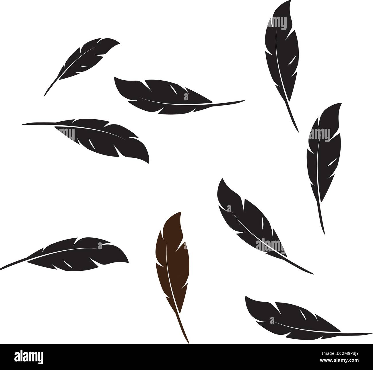 Feather ilustration  logo vector template Stock Vector