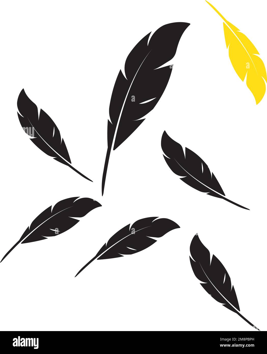 Feather ilustration  logo vector template Stock Vector