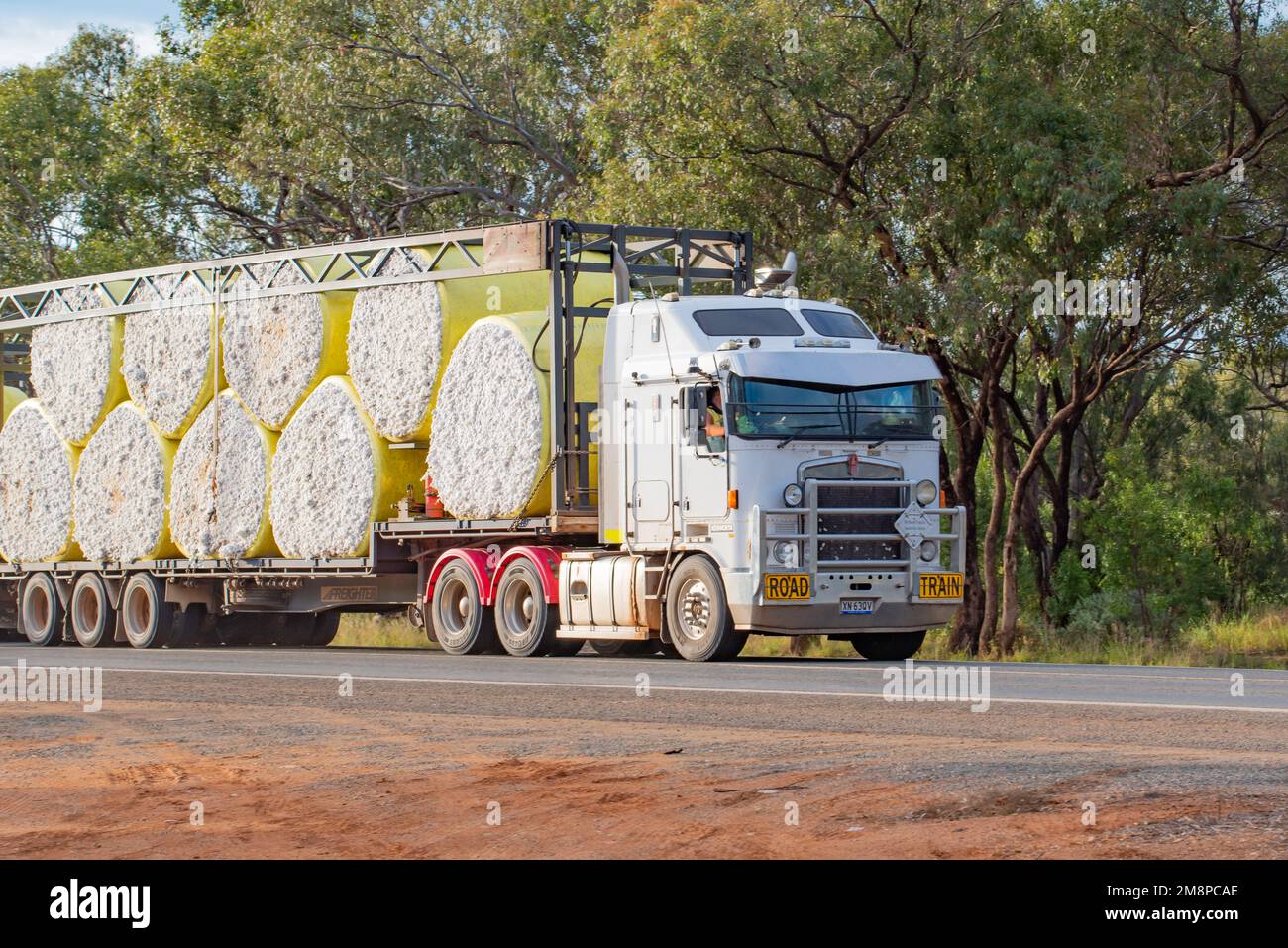 Large yellow rolled bales of raw cotton being transported by road on a semi-trailer truck at Nyngan in northwest New South Wales, Australia Stock Photo