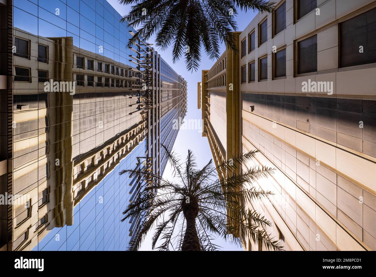 Symmetrical shot of two skyscrapers facing each other in downtown Dubai, with two palm trees standing between them Stock Photo