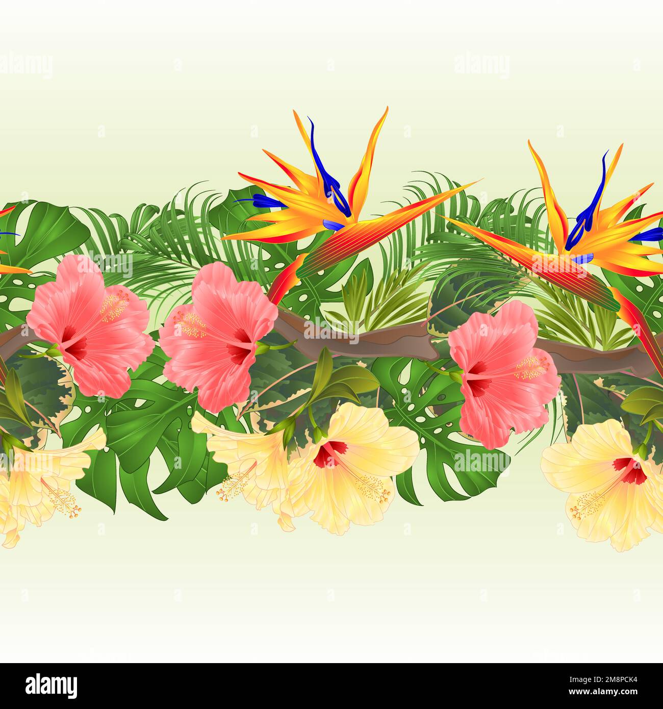 Tropical border seamless background Bouquet with tropical flowers pink ...