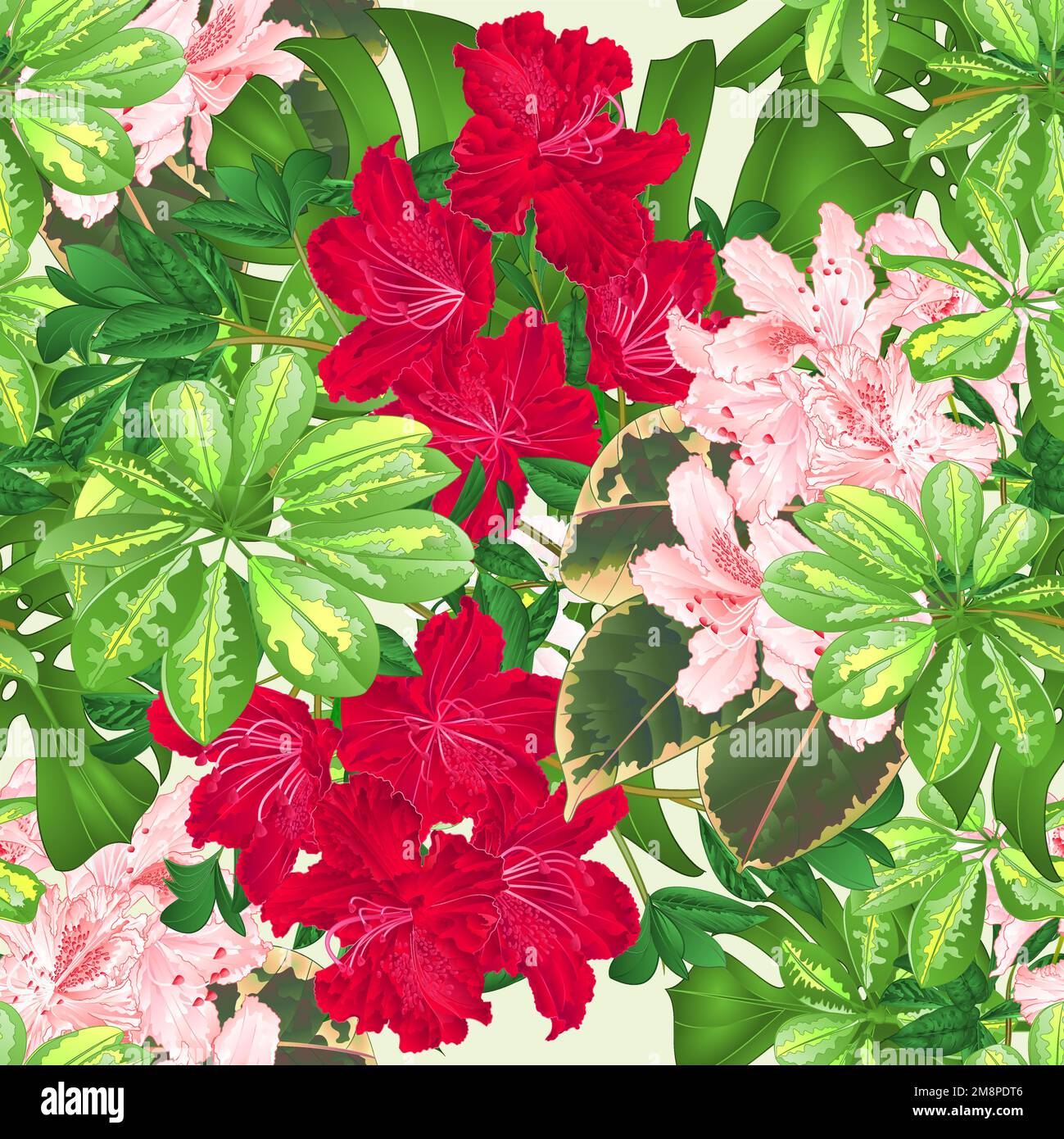 Seamless texture bouquet with tropical flowers floral arrangement, with ...