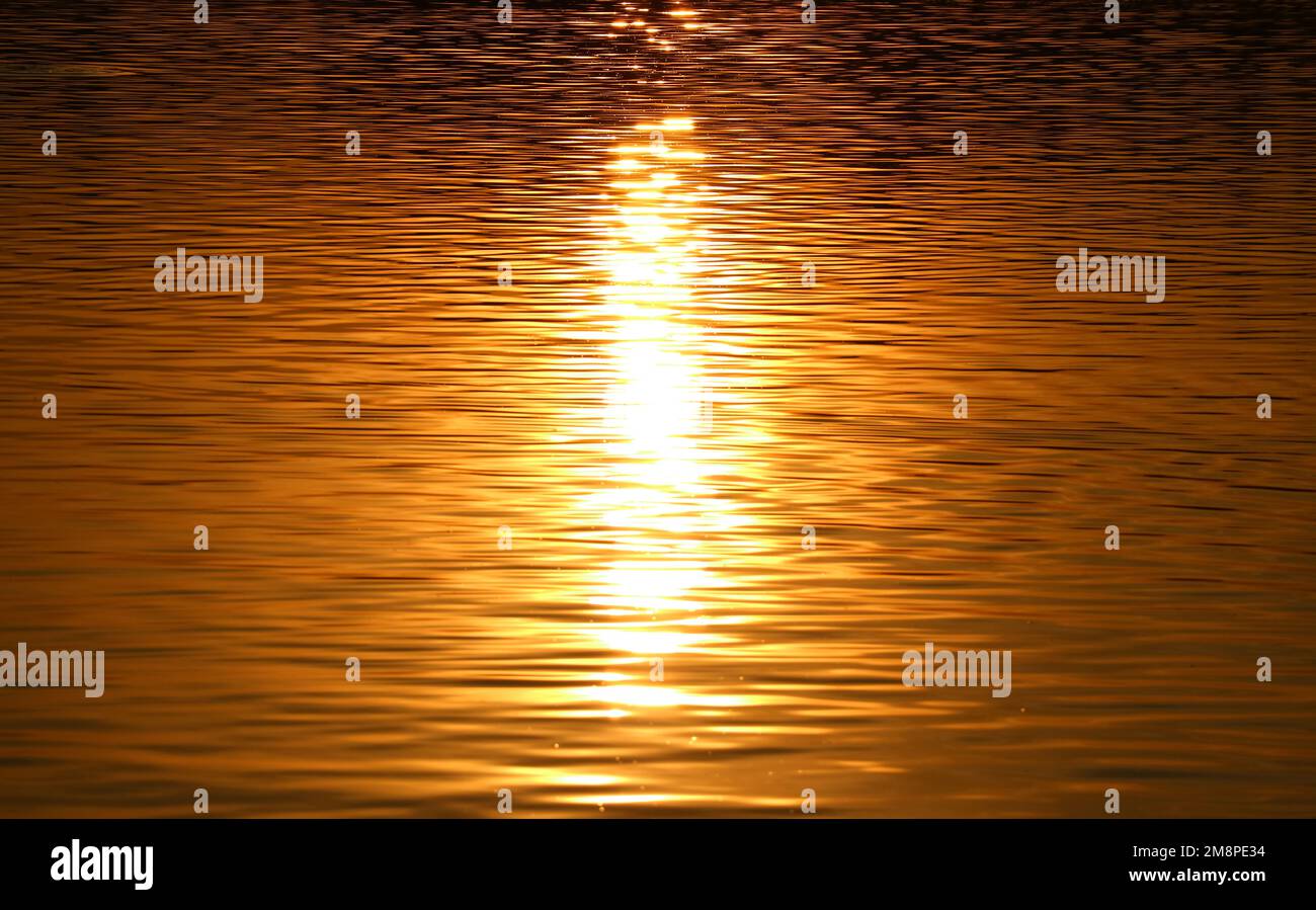 Golden Reflections of the Sunrise on Water Surface Stock Photo - Alamy