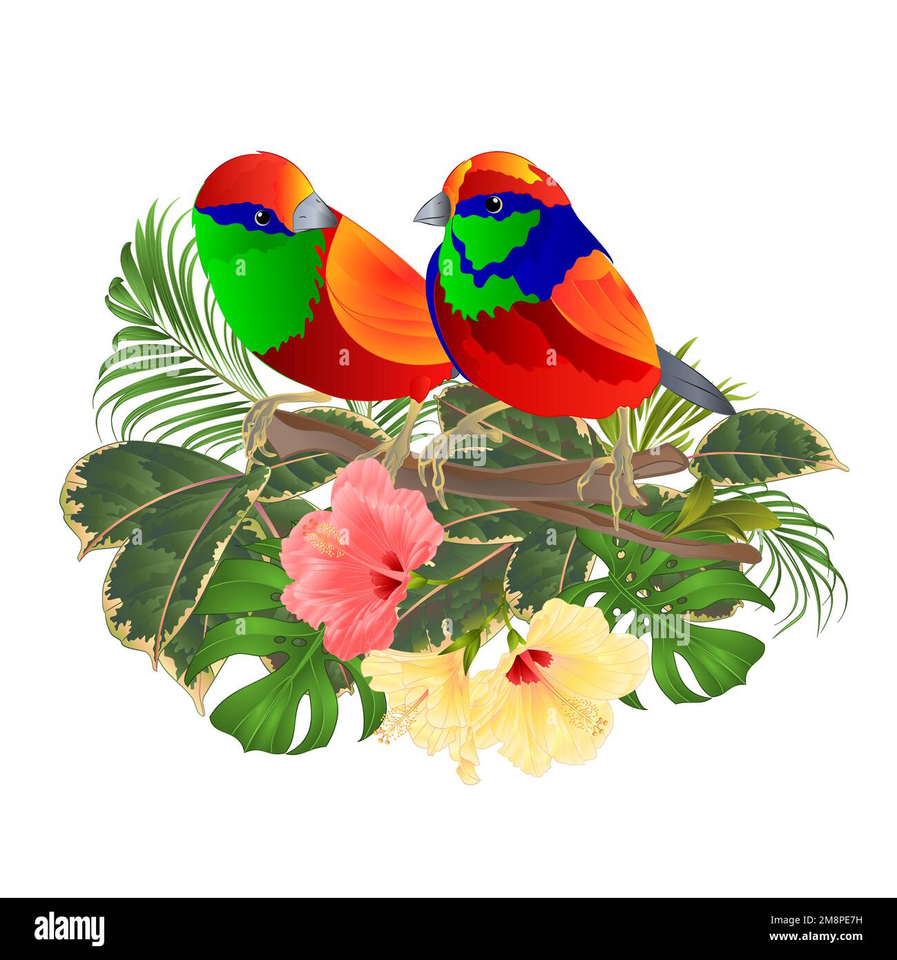 Tropical birds  on a branch bouquet with tropical flowers hibiscus palm,philodendron on a white background vintage vector illustration editable hand d Stock Vector