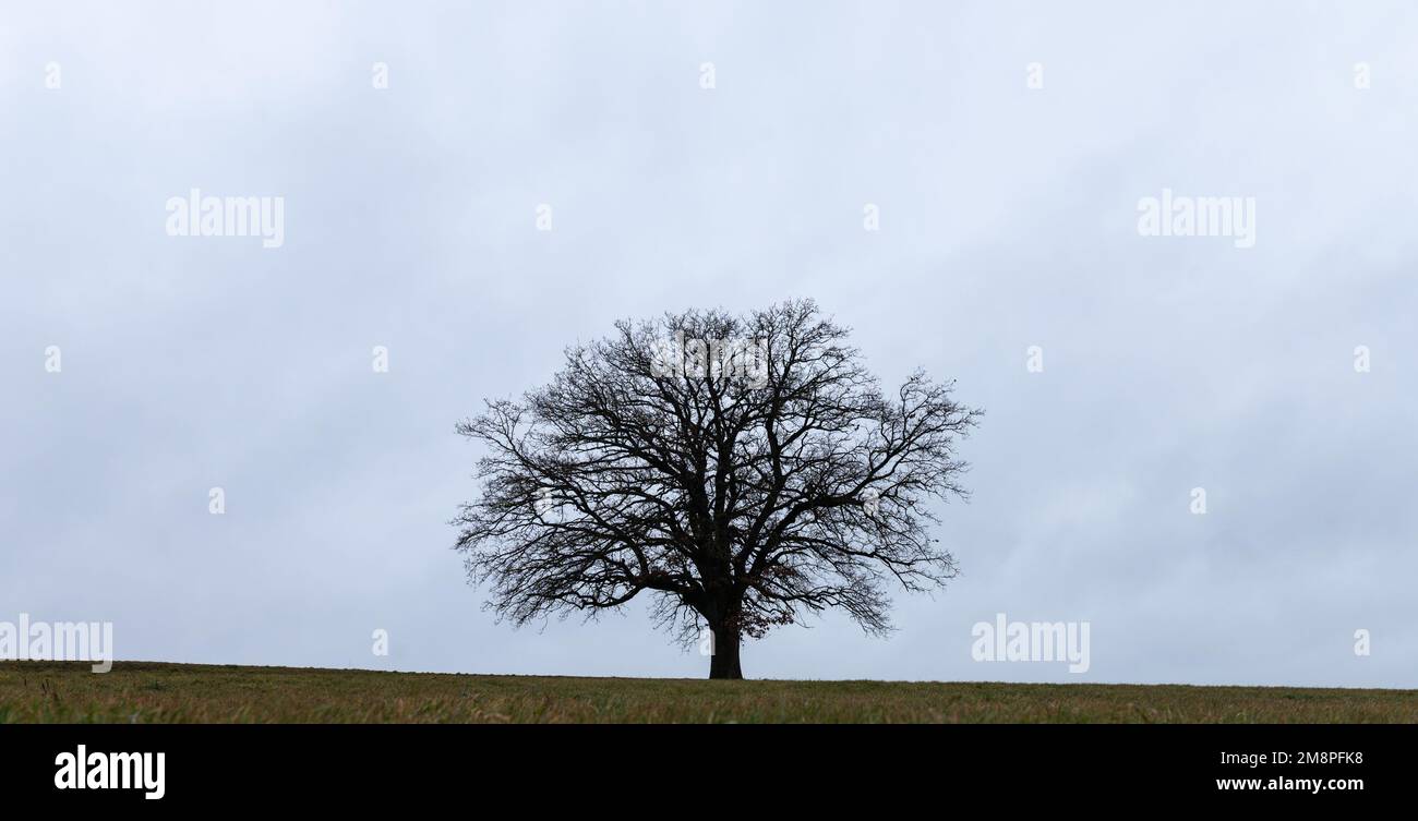 Schomberg germany hires stock photography and images Alamy