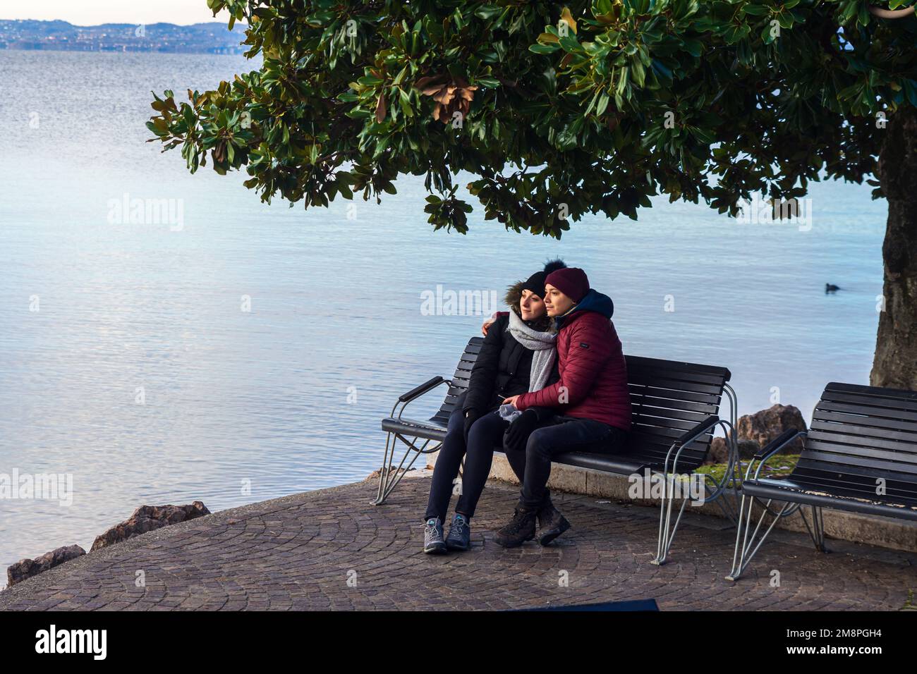 A couple sitting on a bench under a tree with a lake behind them Stock ...