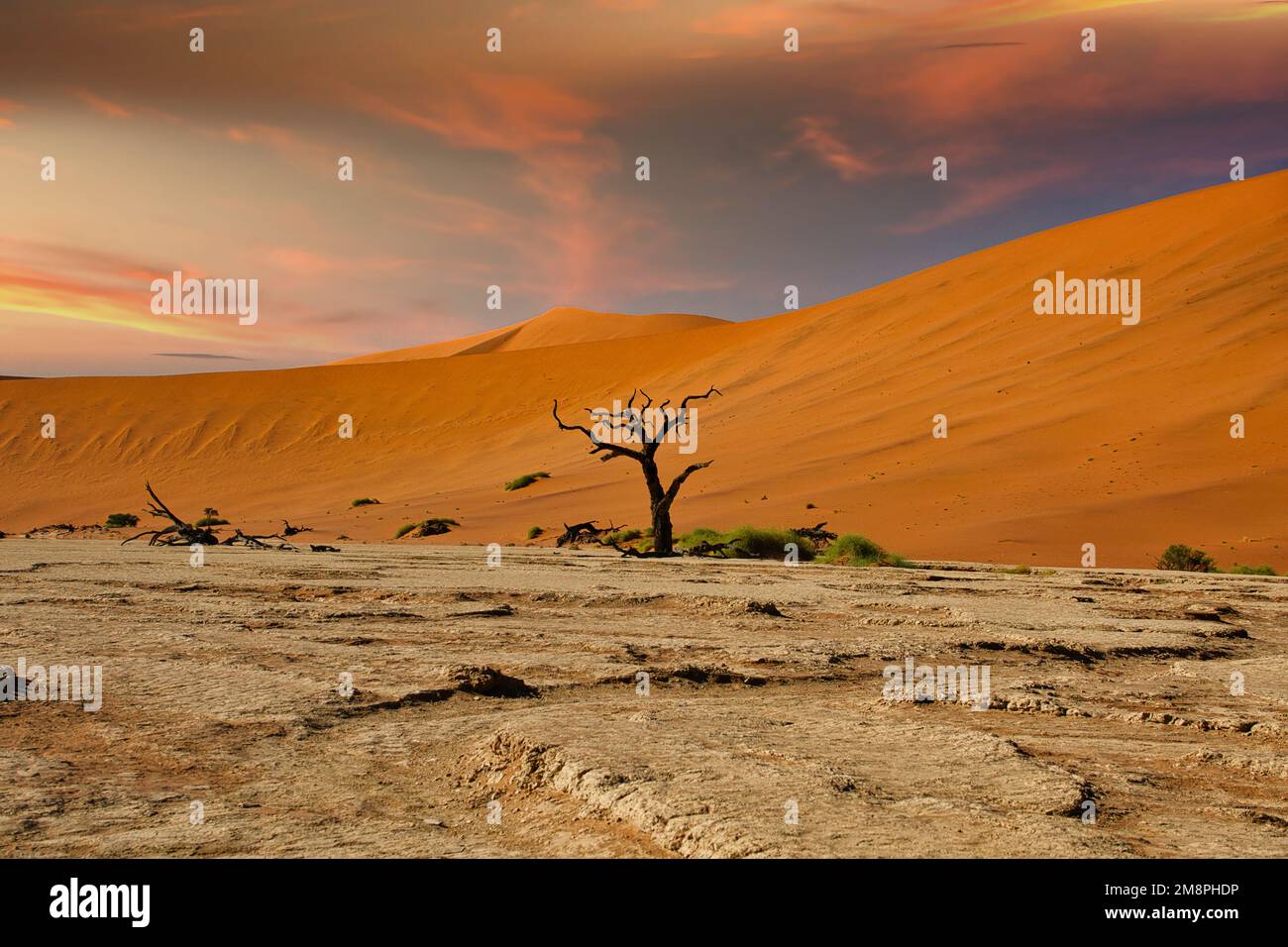 Sossusvlei and sand dunes in the Namib Desert of Namibia Stock Photo ...