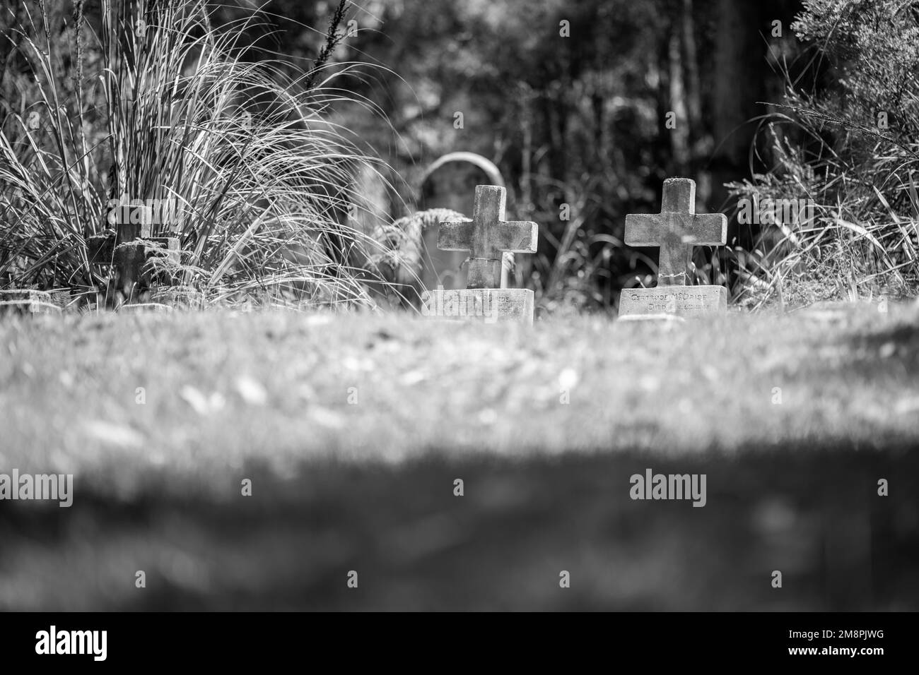 cemetery graves and cross in a graveyard in a church Stock Photo Alamy