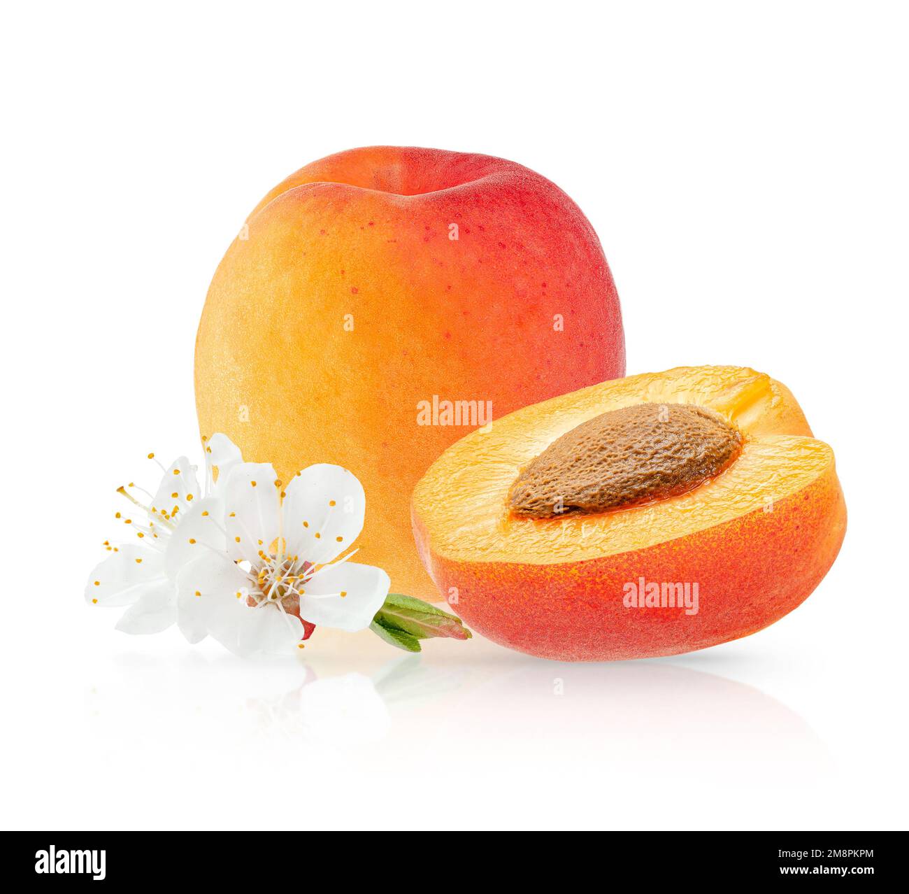 Composition of apricots isolated with clipping path Stock Photo Alamy
