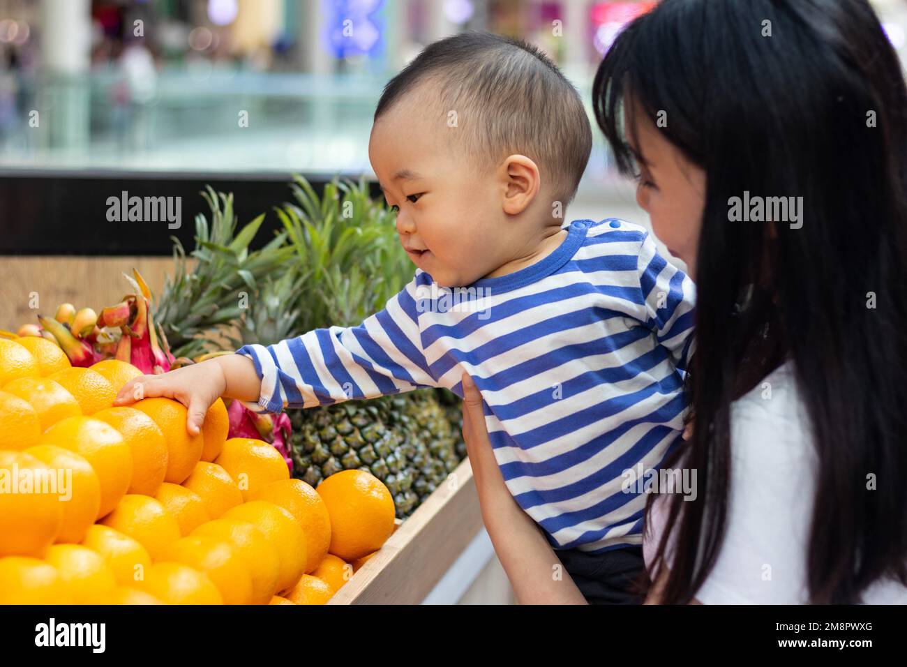 Mother and son two people pick fruit Stock Photo