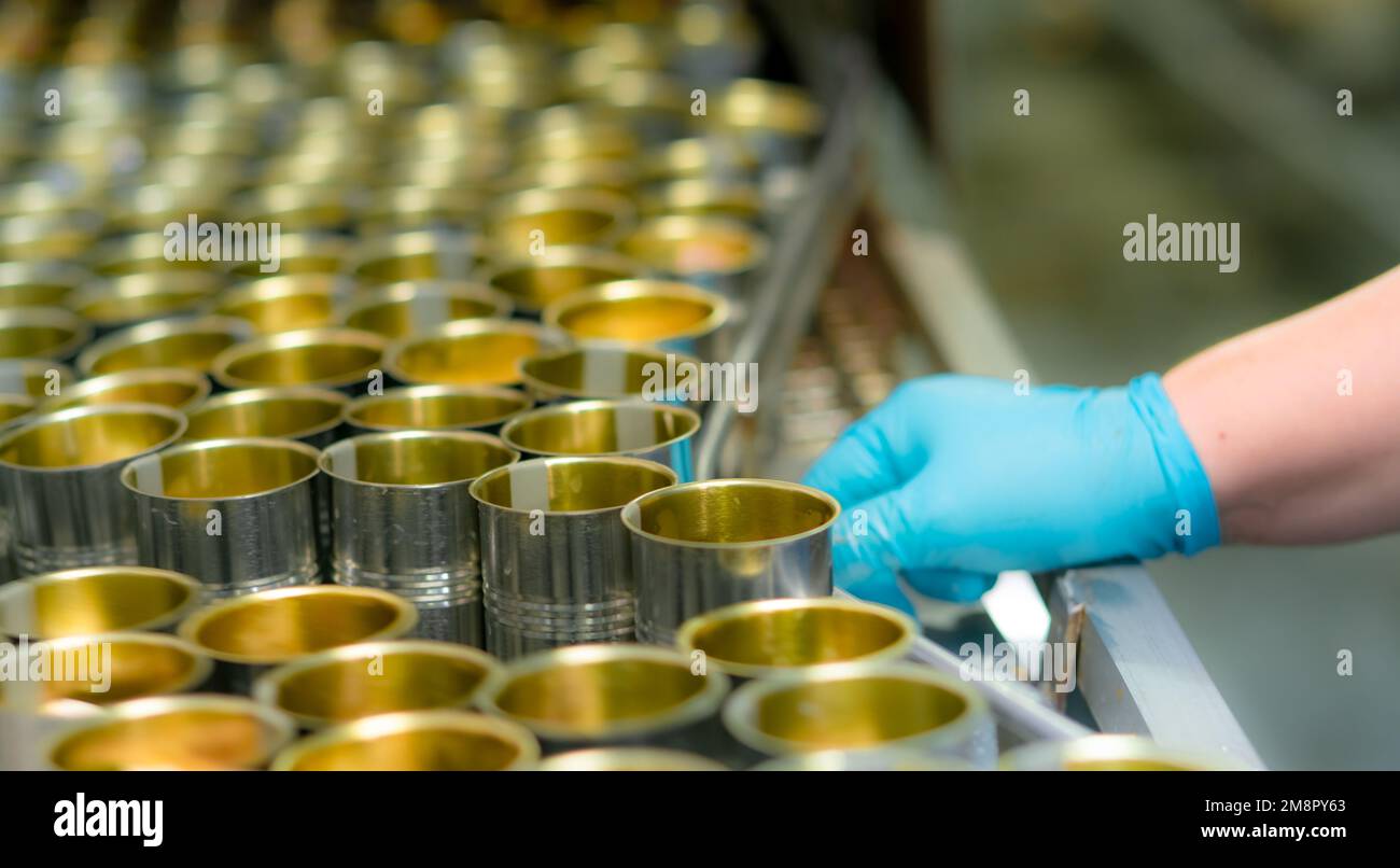 Selective focus on canned fish factory. Food industry. Food processing
