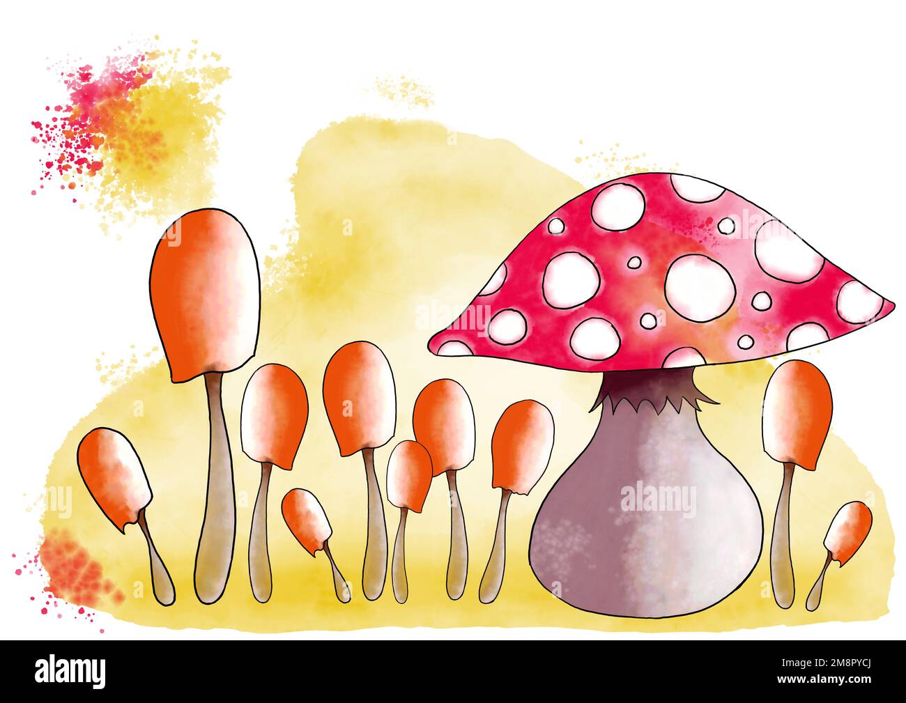 A watercolor illustration of mushrooms in the forest Stock Photo - Alamy
