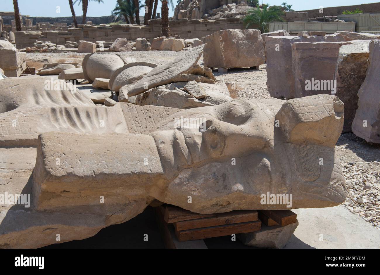 Large broken statue of Ramses II head in ancient egyptian Karnak Temple