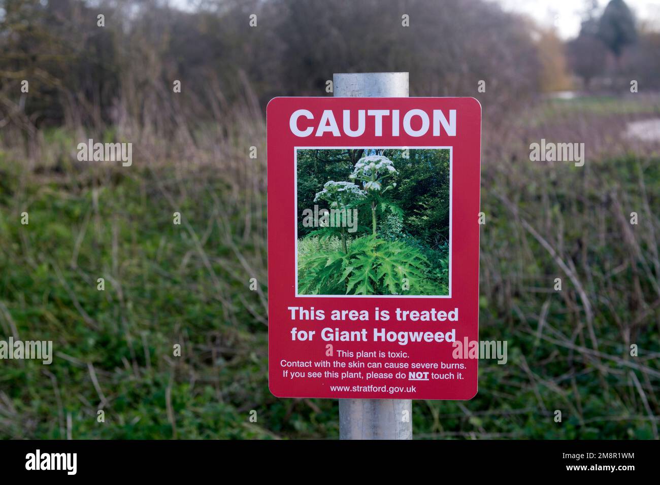 Giant Hogweed sign, Stratford-upon-Avon, UK Stock Photo