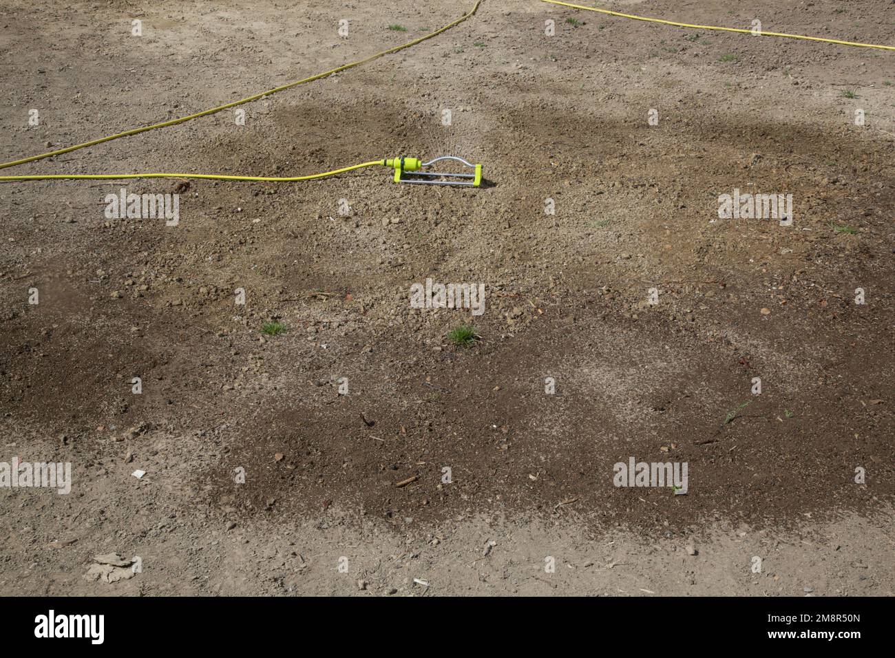 Process of watering grass seeds on the soil. Planting grass. Process of sowing and growing a