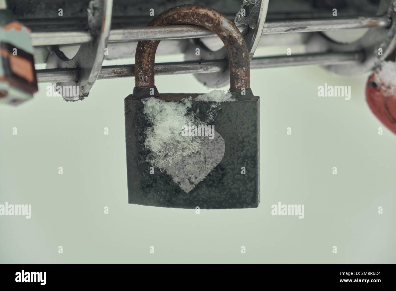 Frozen padlocks are installed along the bridge path and the love locks are thrown into the river