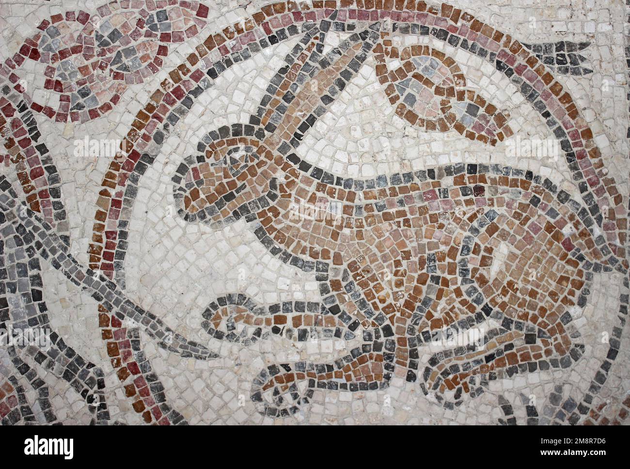Ajloun Castle, Jordan -  Byzantine mosaic of a hare Stock Photo